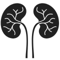 Treatment at NU Hospitals